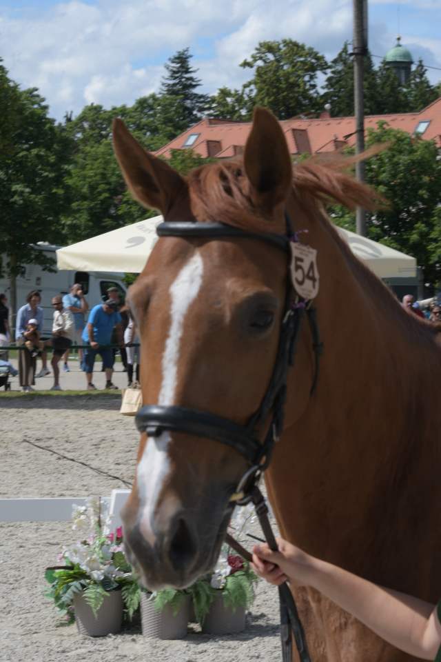 DSC_7188